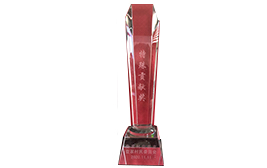 Special Contribution Award