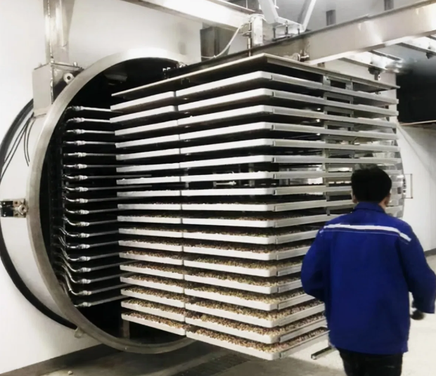 Industry Freeze Dryer